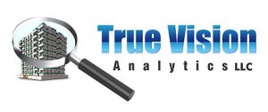 true vision analytics llc logo